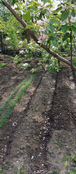 Продам срочно дом