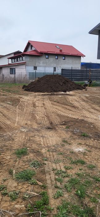 Pamant negru vegetal