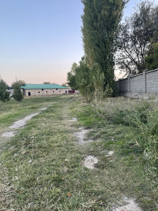 Ферма 1000 м2 с Домом