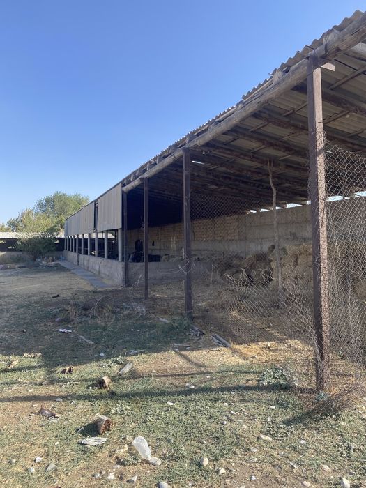 Сдаётся фирма на окраине города