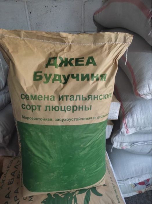 Джеа сорт люцерны