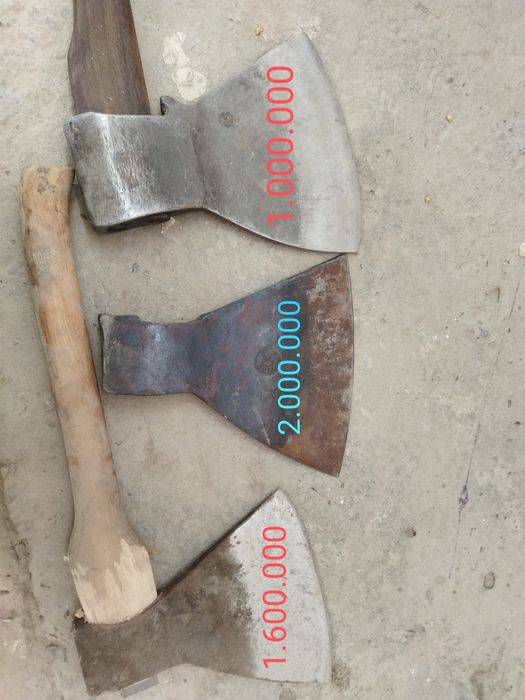 Ukraina yotoqxonalarida talabalar jinsiy aloqa