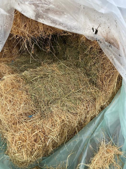 Vand Baloti de fan 18 bucata