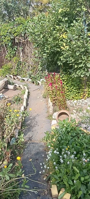 Продам дачу плодородия