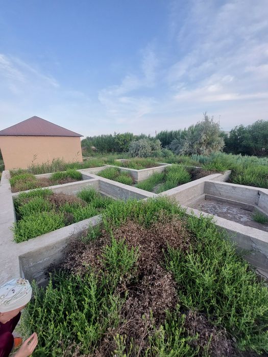 Жер план сатылады