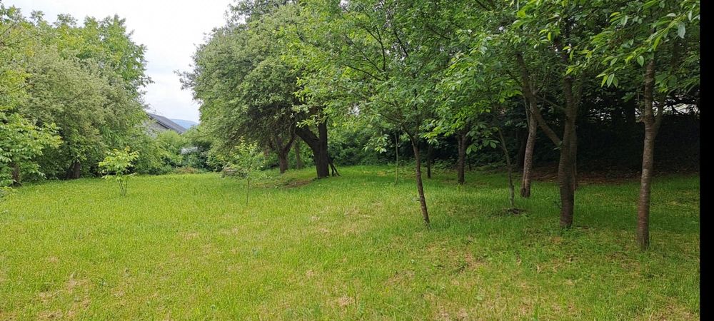 Teren in Ciurila