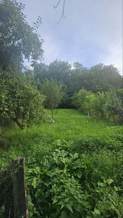 Casă de vânzare cu anexe și grădină
