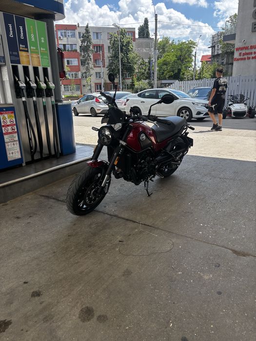 Benelli leoncino