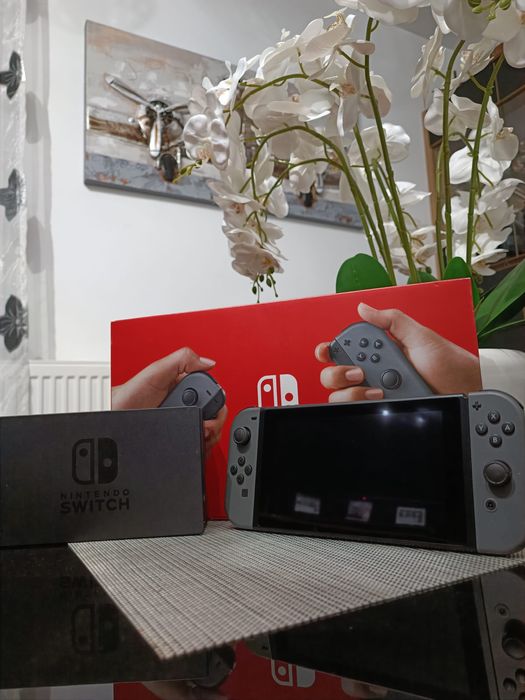 Nintendo switch se