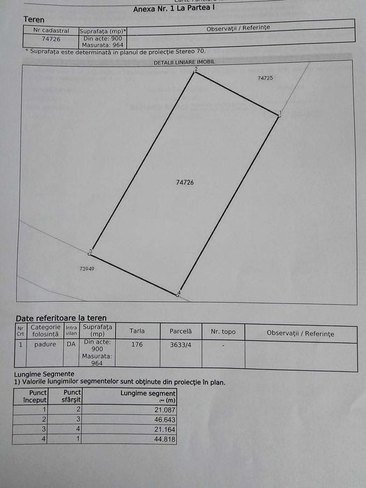 Teren de vis in padure