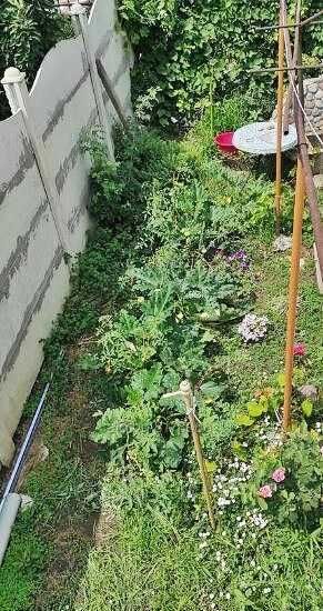 Дава се под наем Етаж от къща в София, Левски В - 75 кв.м за 566.1 € - Снимка #5