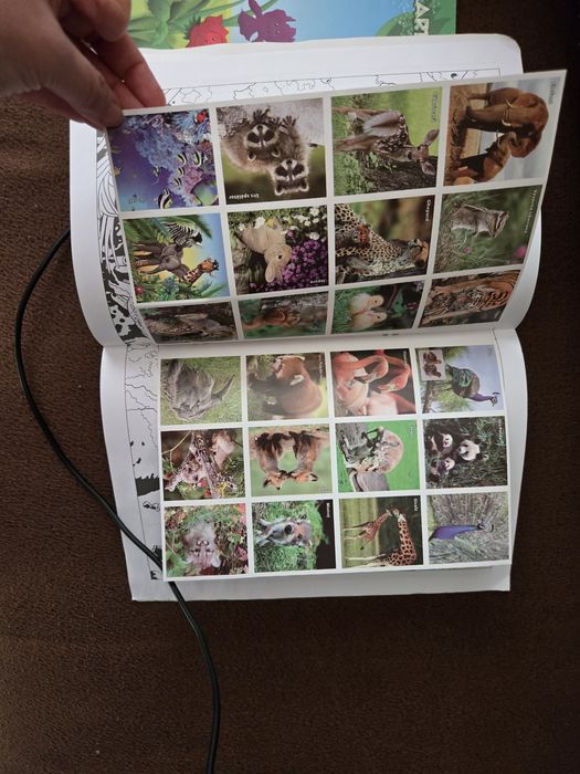 Vand carti de colorat simple si cu stickere