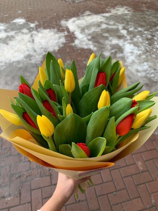 Тюльпаны оптом Голландия