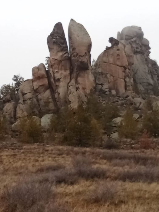 Зимовка. Қыстақ 2000га