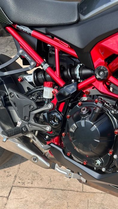Kawasaki Z900.  2025