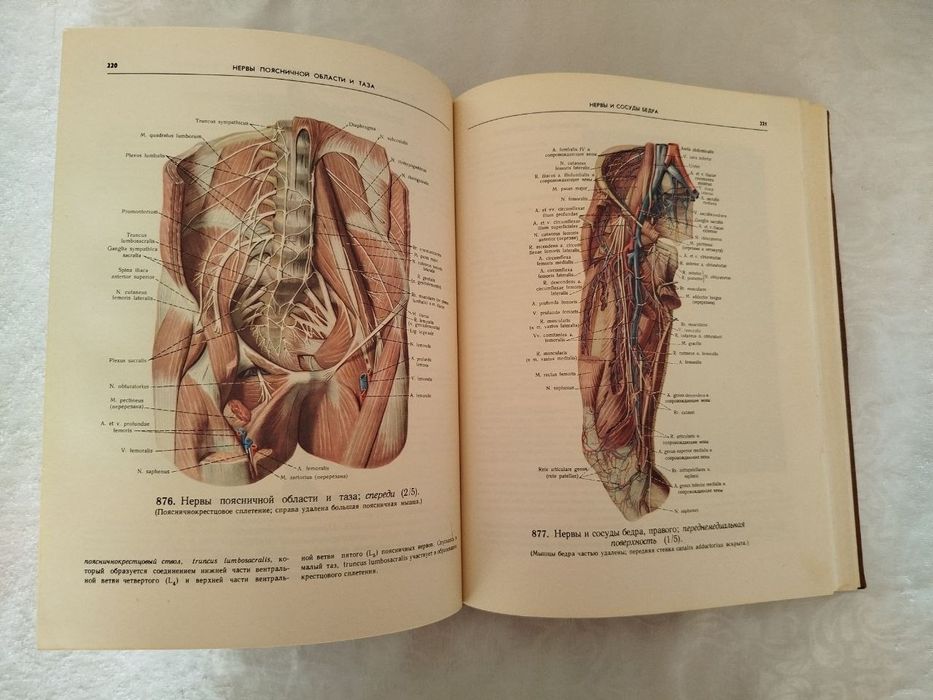 Атлас анатомии человека.  С. Д. Синельников.