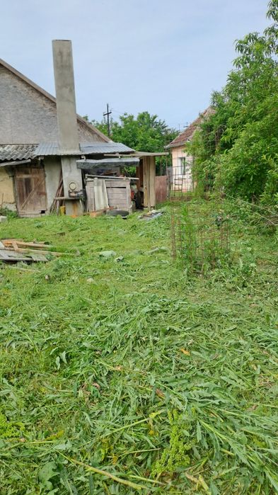 Curăț terenuri defrișez