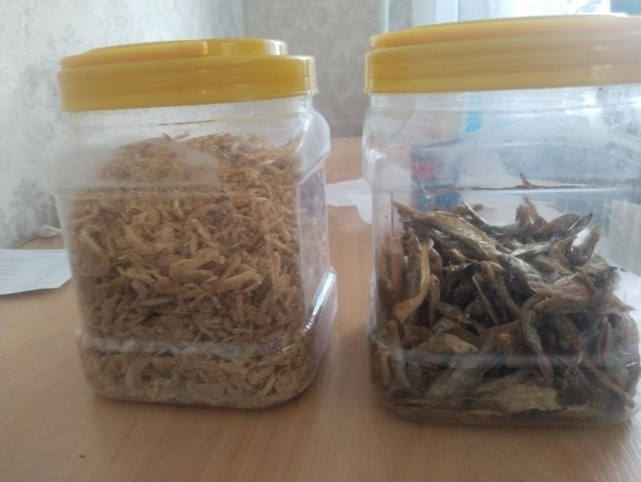 Продам милых черепах вместе с аквариумом