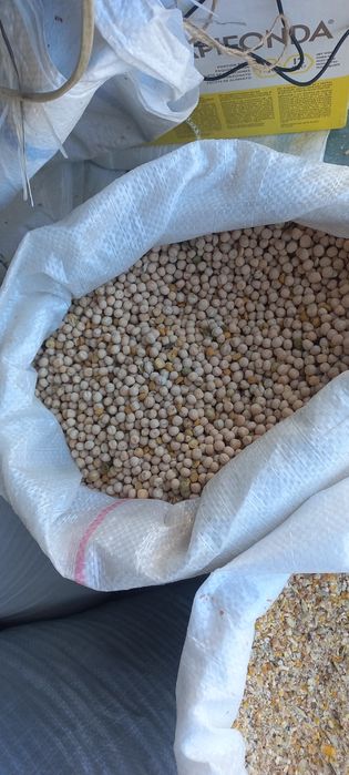 Mazare furajera 2lei ambalata