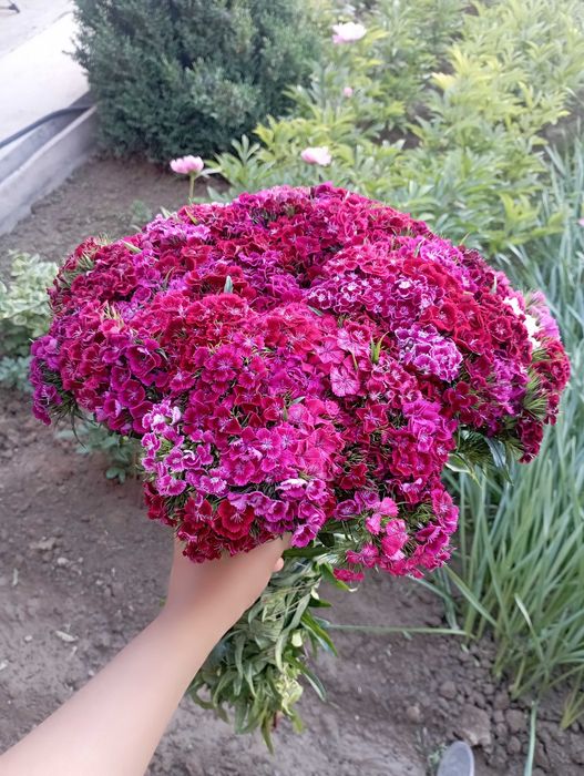 Цветы доставка есть