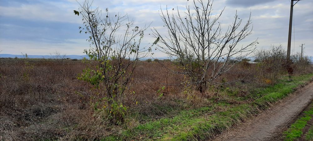 Парцел земеделска земя