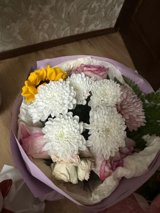 Цветы свежие новые