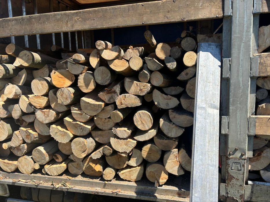 Lemne foc esență tare (fag și carpen)