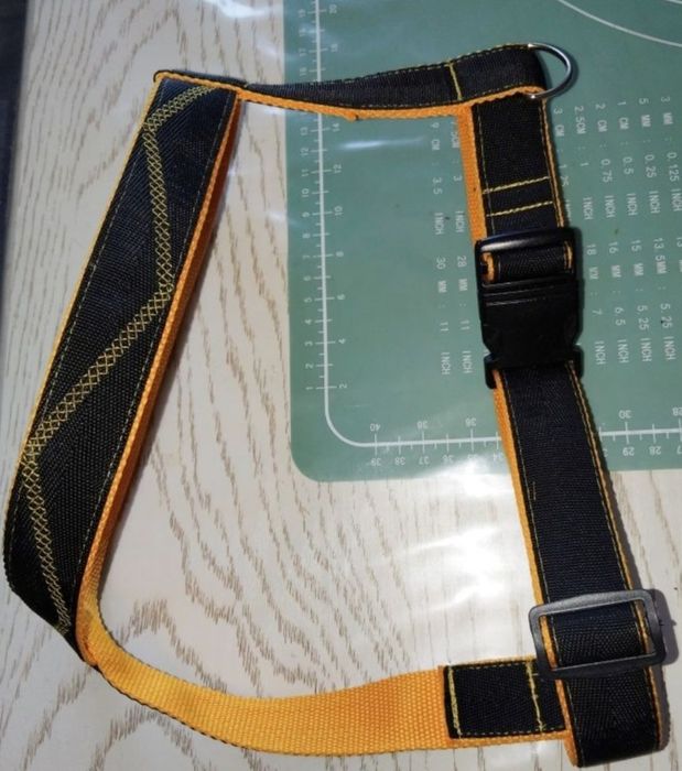 шлейки для собак