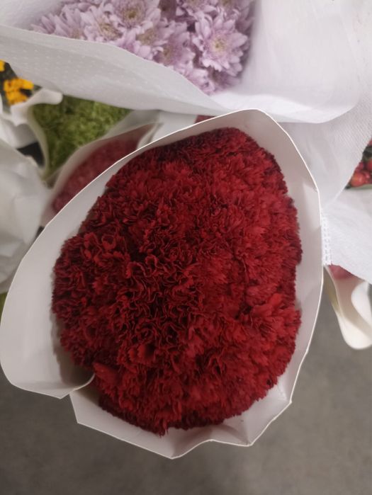 Живые гвоздики !