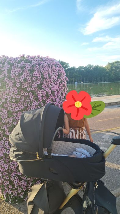 Stokke xplory v6 limited