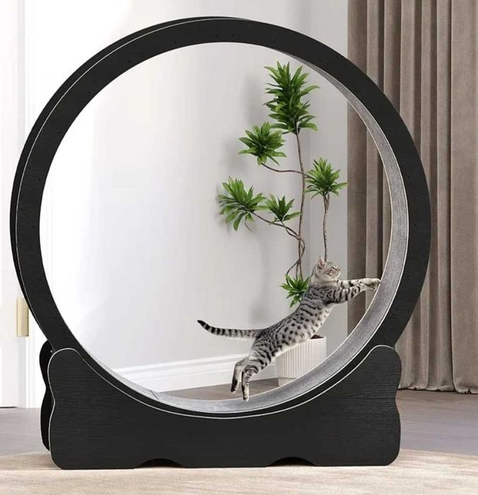 НОВО! XL КОТЕШКО КОЛЕЛО за бягане, игра и тренировка, 299лв.