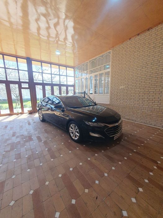 Malibu 2 primyer qilingan