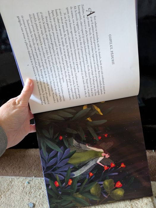 Viata si aventurile Lui Mos Craciun