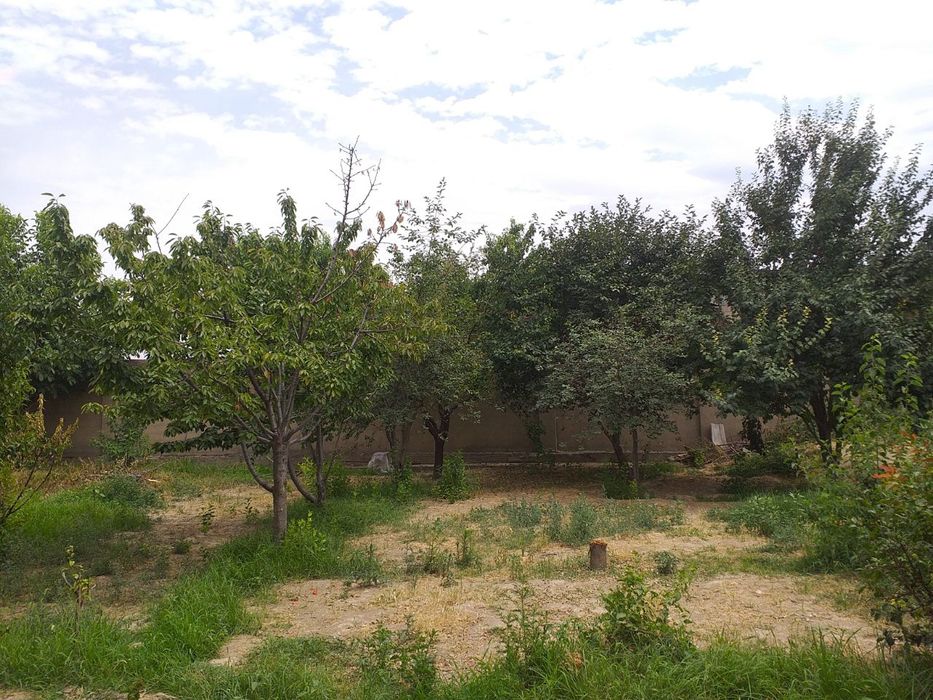 Уй Толик, ёки яркими сотилади