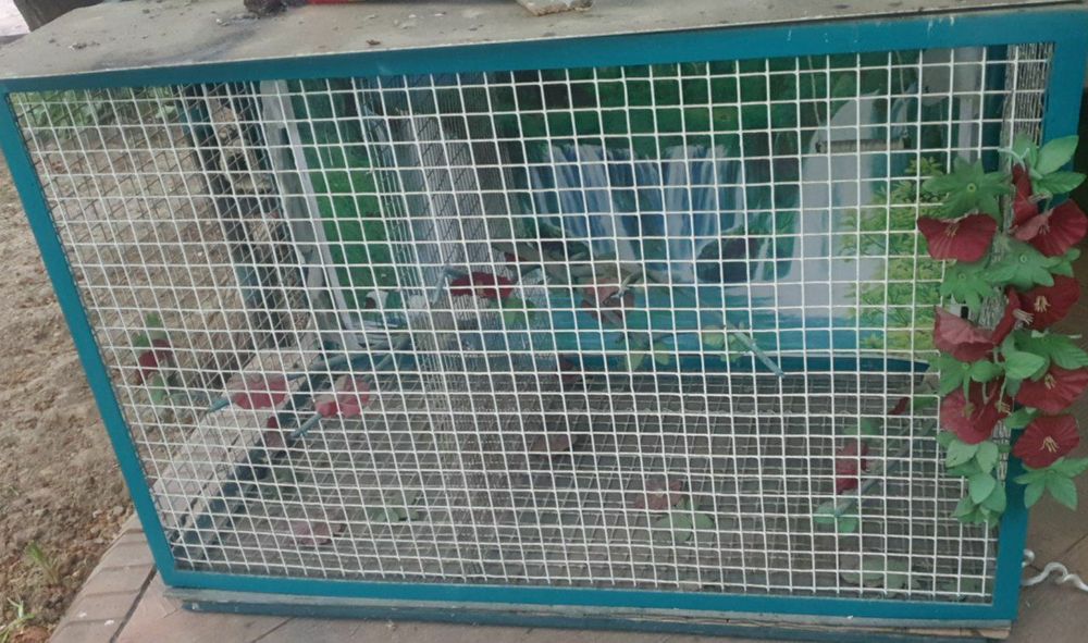 Qush uychasi 100 sm 50 sm