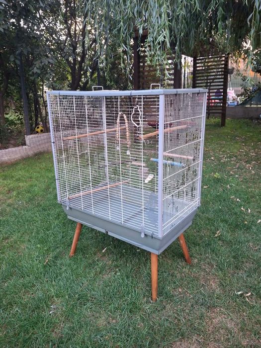 Agapornis.+ Voliera