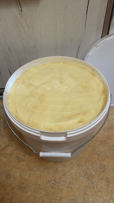 Мед в ведре 16кг Катонский