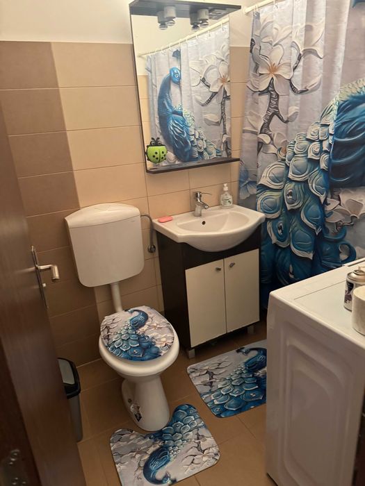 Apartament cu 1 camera in Lipovei