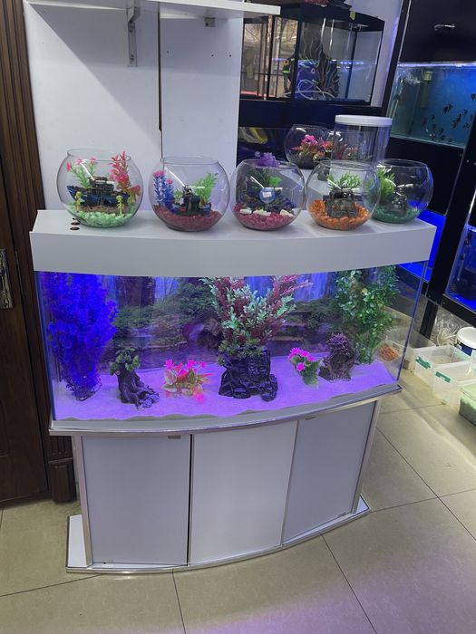 Akvarium 200 litrlik New