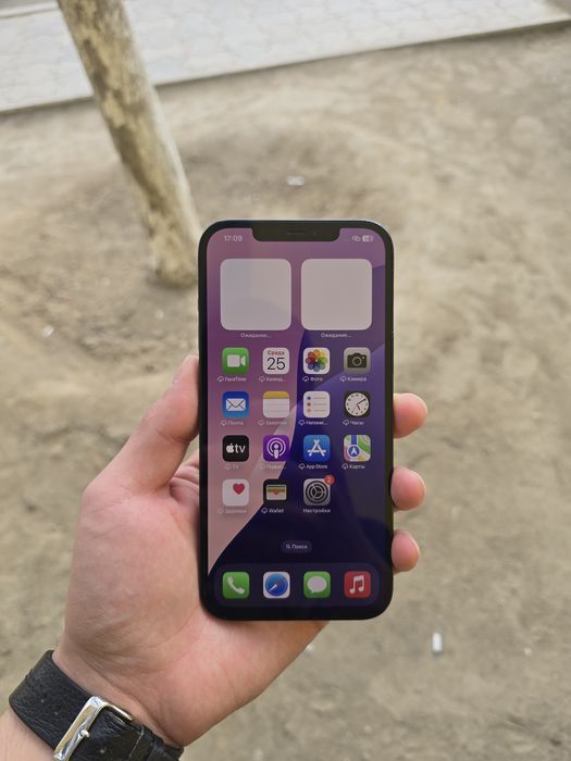 iPhone 12 Pro Max 256gb