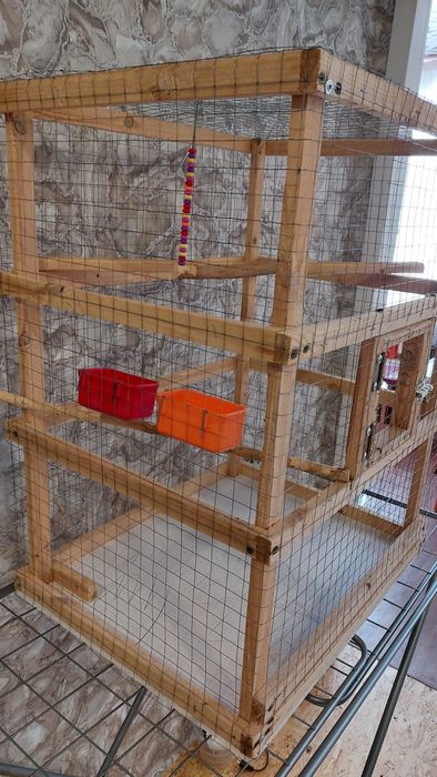 Девочка корелла с клеткой