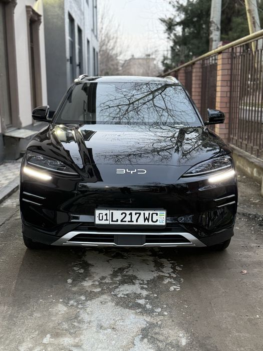 Byd Champion 2025 Restayling