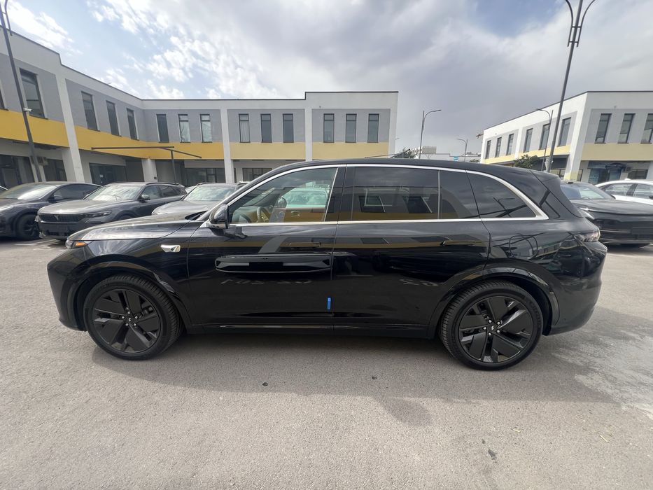 Li6-pro.2025 bez probeg