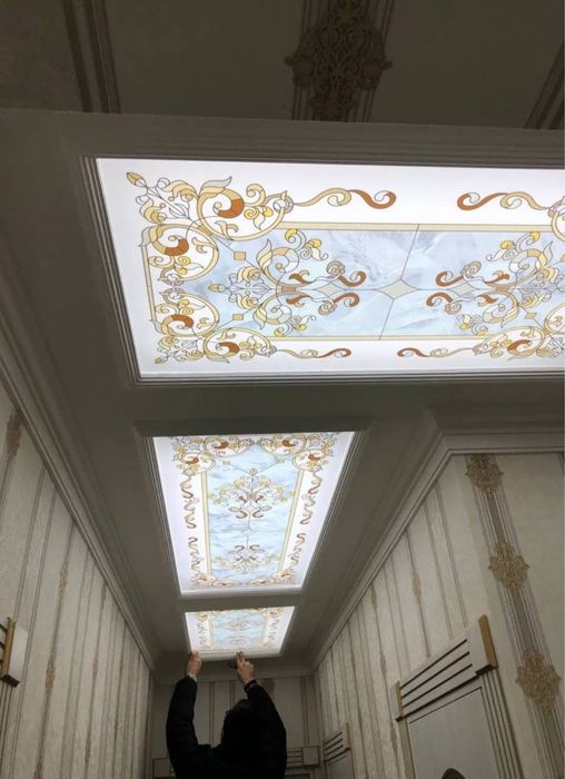 Оргстекло потолок