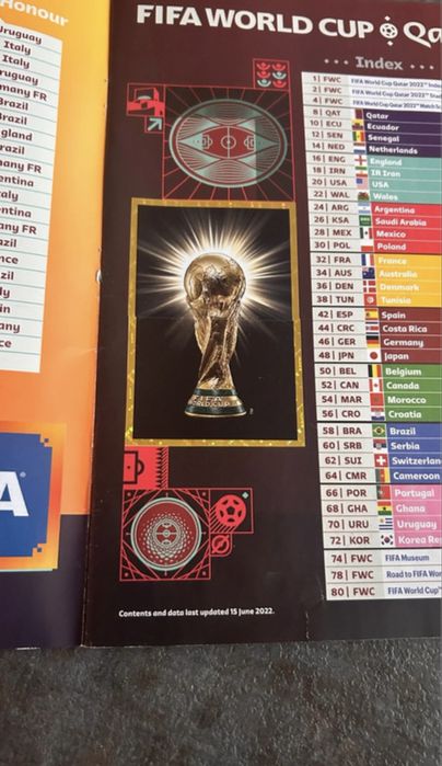 Panini Qatar 2022