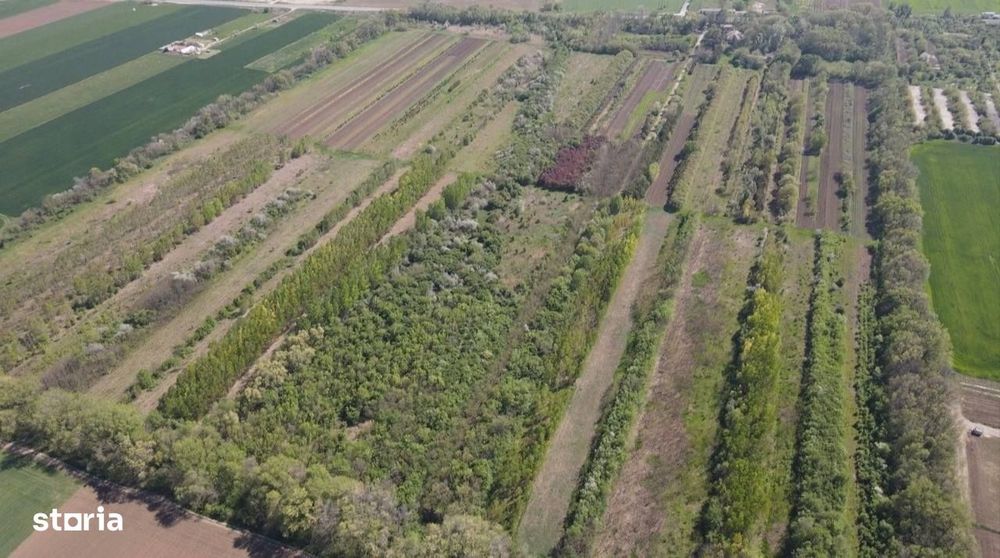 Loturi de teren extravilan de vanzare