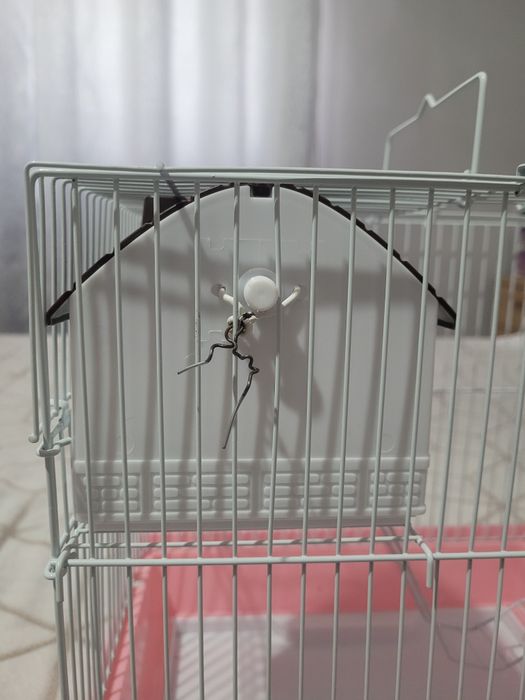 Vând cușcă pentru hamster