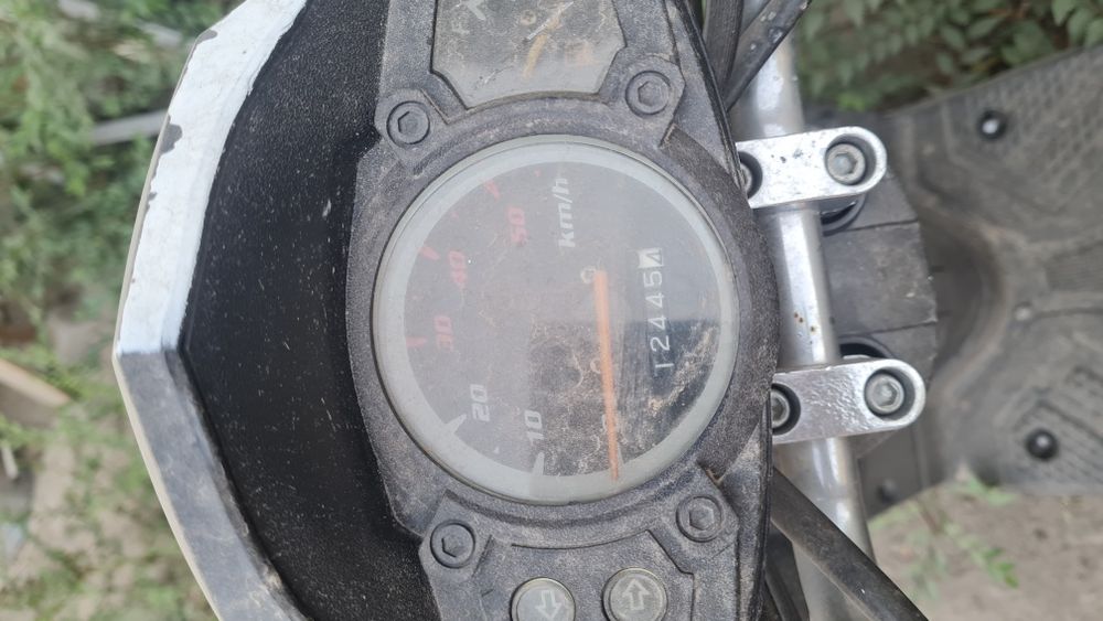 Pgo  срочно отдам