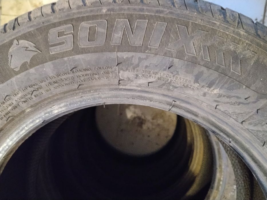 Жаздық шыйналар.