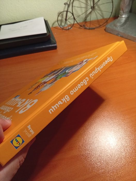 Книга на Манчев и Шишков